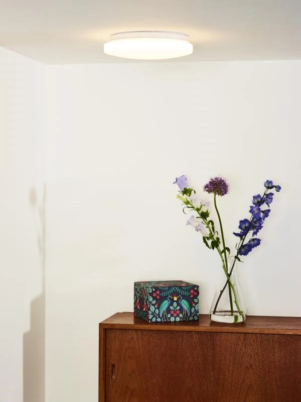Lucide OTIS - Flush ceiling light - Ø 26 cm - LED - 1x14W 3000K - Opal - Lights Zone